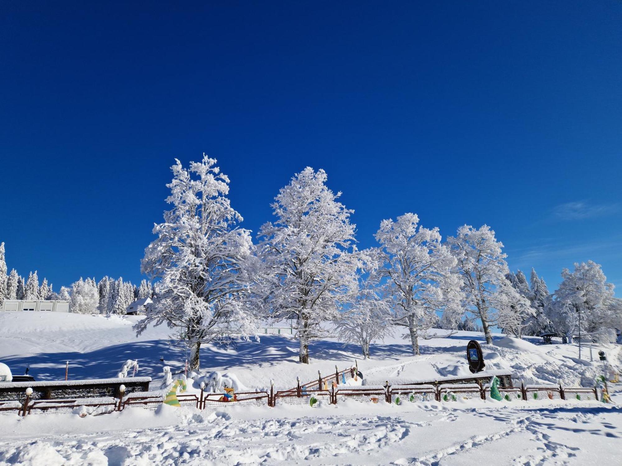 Altes Zollhuesli Villa Schluchsee Dış mekan fotoğraf