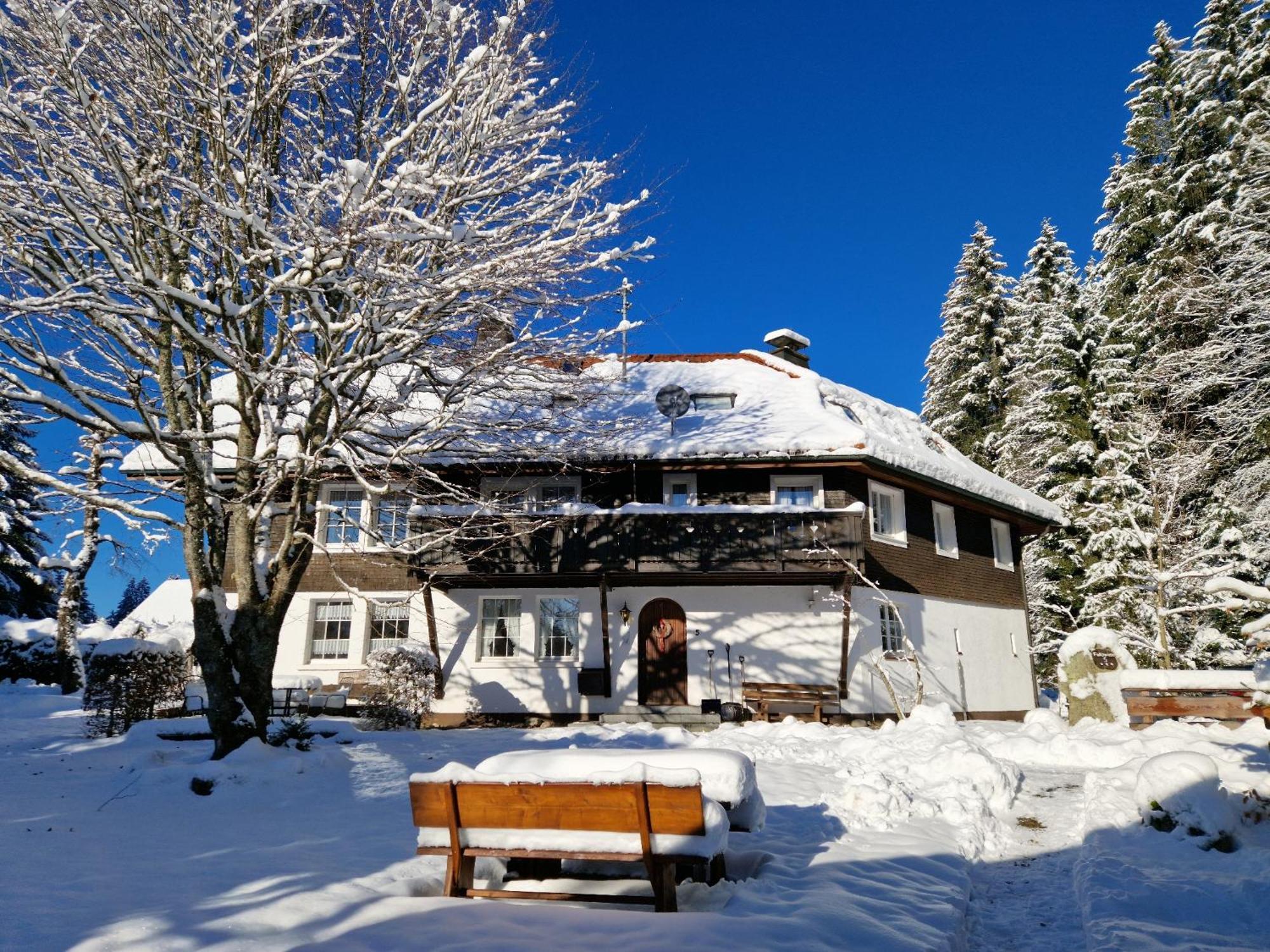 Altes Zollhuesli Villa Schluchsee Dış mekan fotoğraf