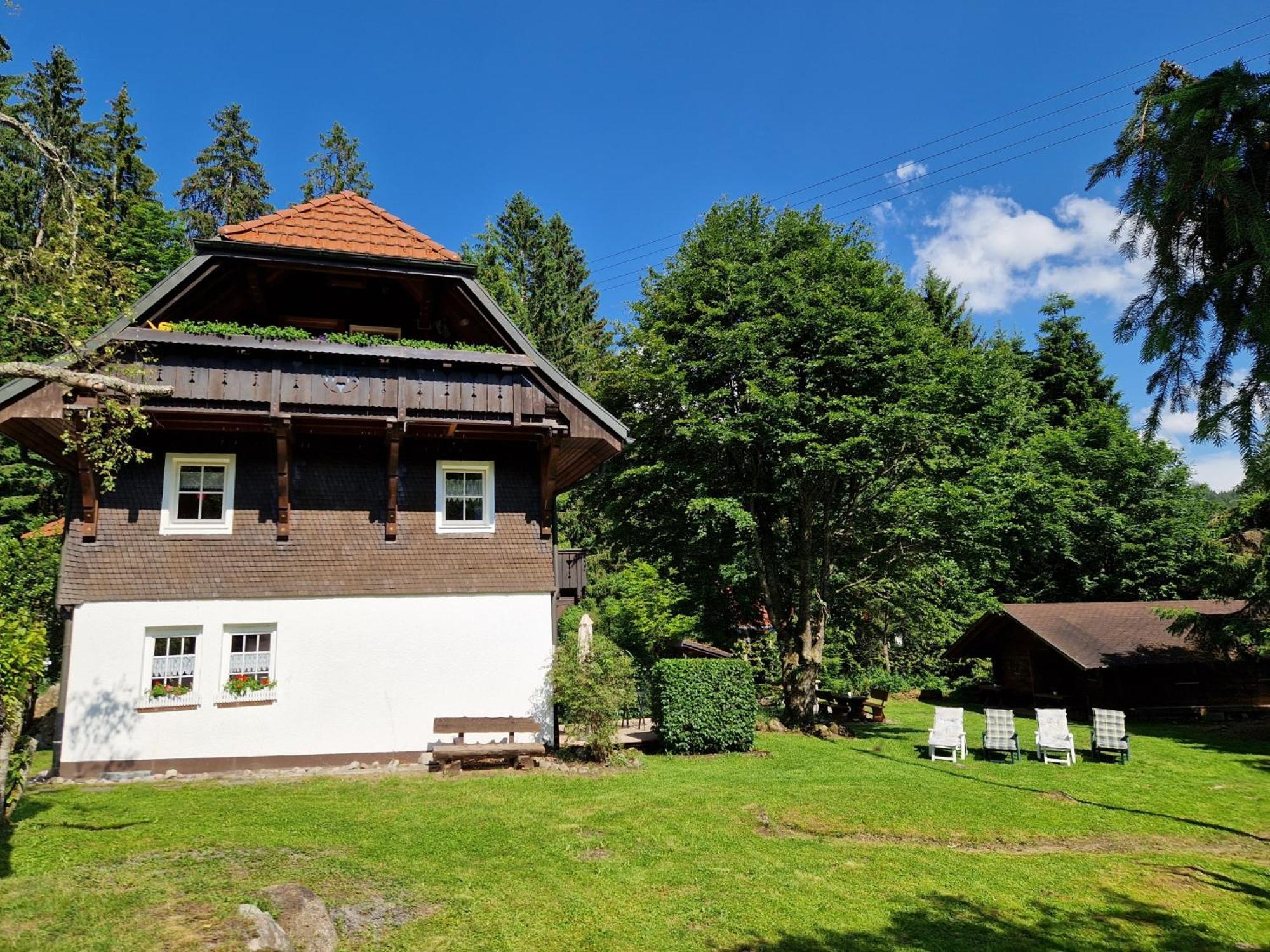 Altes Zollhuesli Villa Schluchsee Dış mekan fotoğraf