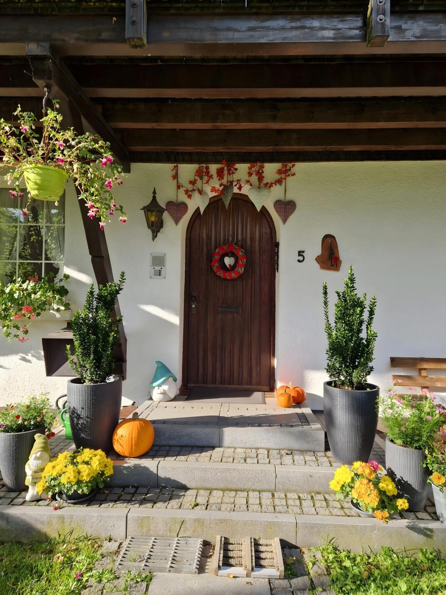 Altes Zollhuesli Villa Schluchsee Dış mekan fotoğraf